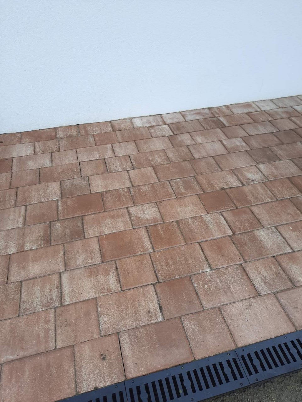 Gallery Item 14